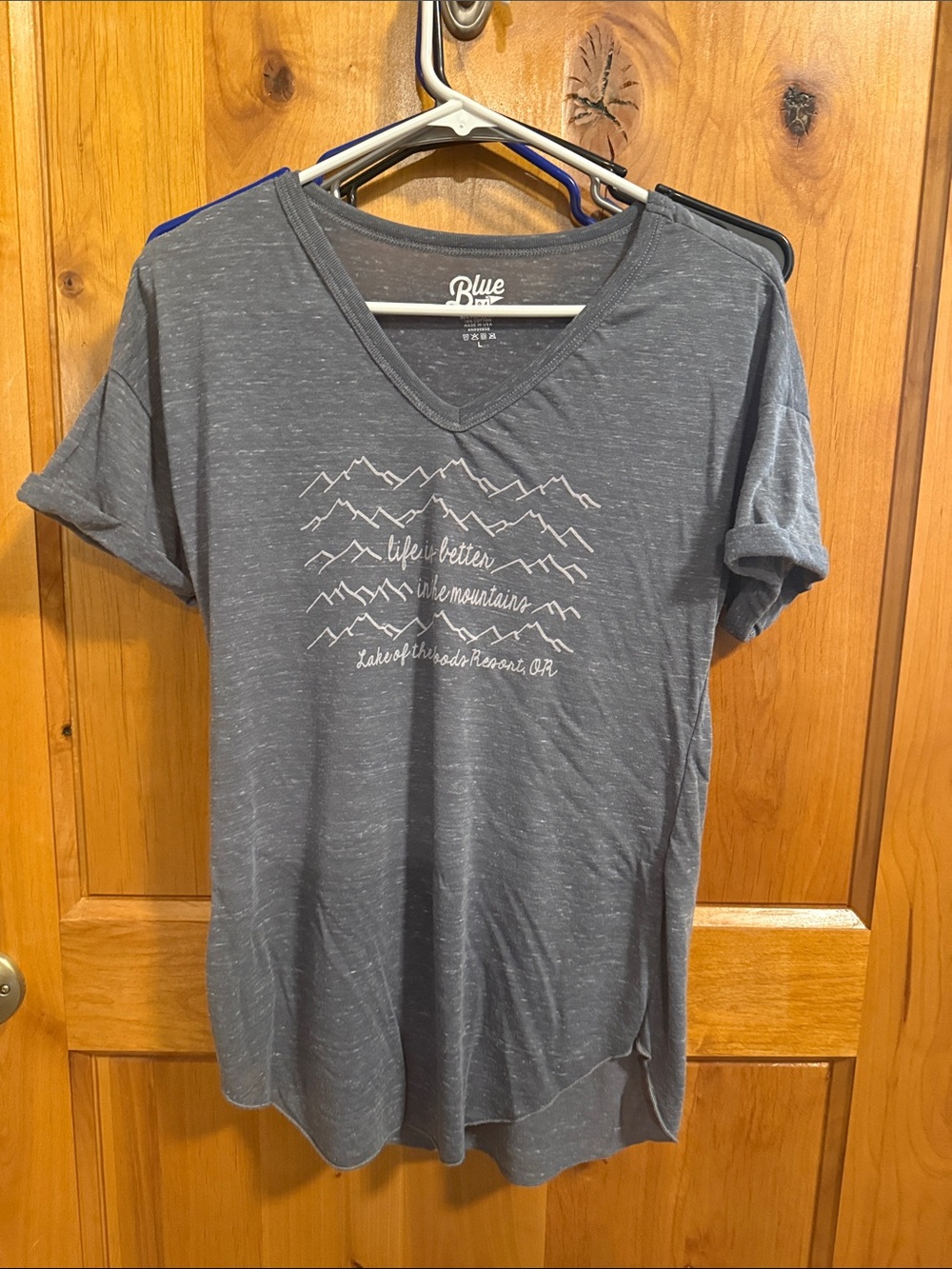 Blue Life Charcoal Gray V-Neck Mountain Graphic Tee